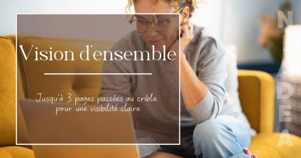 Bilan site web NIADEA